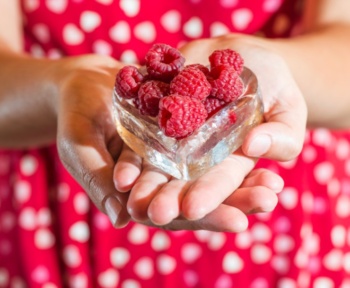 How Long Does It Take to Freeze Dry Strawberries?