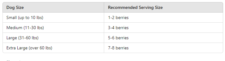 table of Can Dogs Have Freeze-Dried Blueberries? 