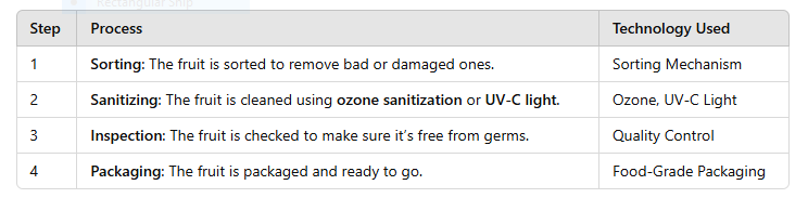 table of Dry Sanitizing System for Fruits 