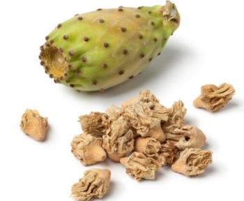 Why Dried Cactus Fruit is the Perfect Snack for Weight Loss