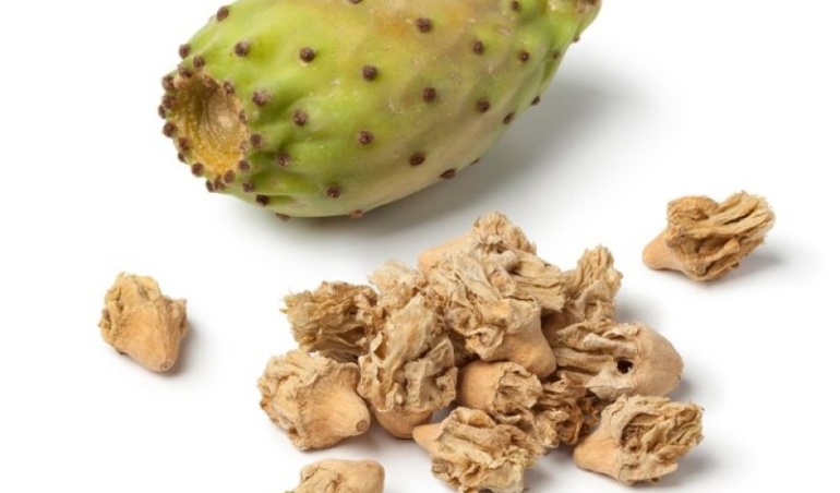 Why Dried Cactus Fruit is the Perfect Snack for Weight Loss