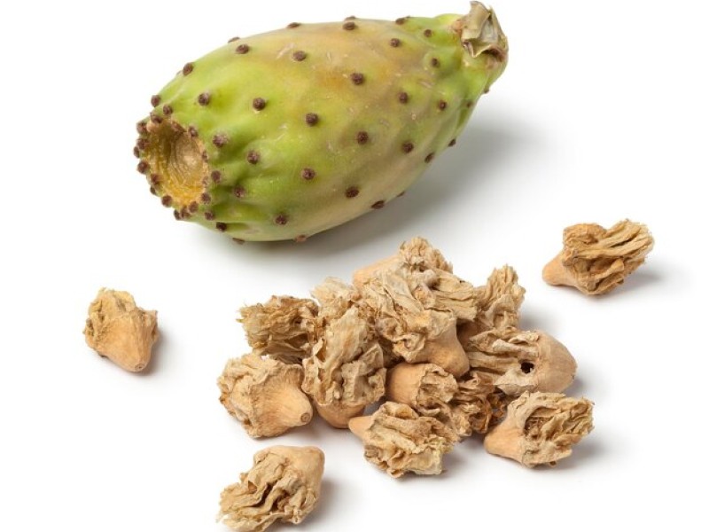 Why Dried Cactus Fruit is the Perfect Snack for Weight Loss