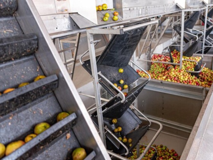 Dry Sanitizing System for Fruits