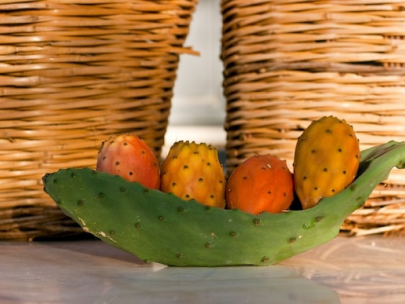 Why You Should Try Dried Cactus Fruit: A Superfood