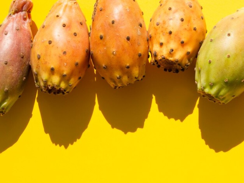 Why You Should Try Dried Cactus Fruit: A Superfood