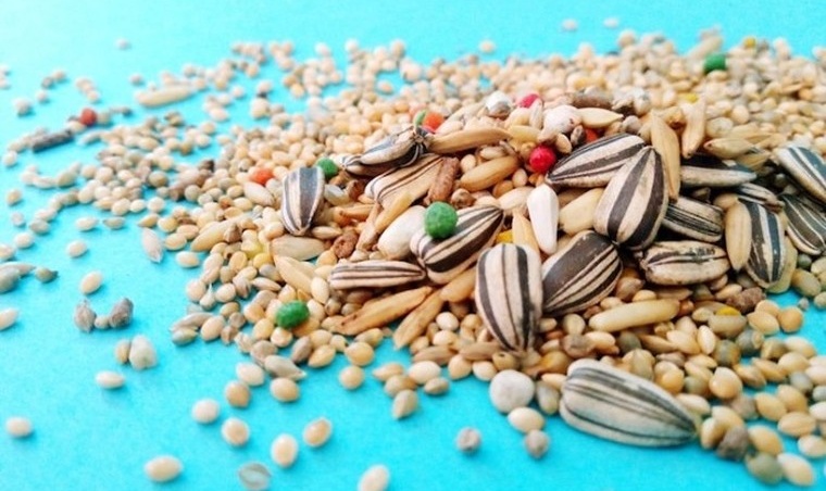 Small Separate Dry Fruits Produced by Some Grains