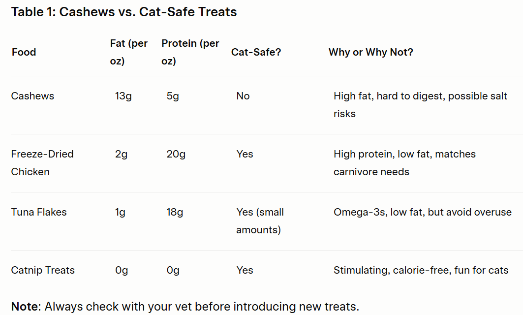 Can Cats Eat Cashews? Vet’s Real Talk
