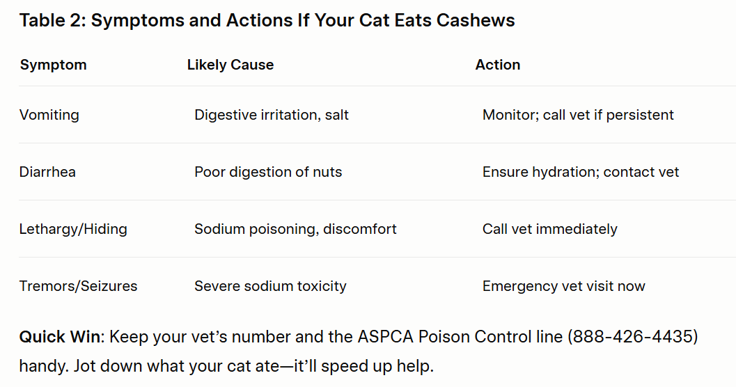 Can Cats Eat Cashews? Vet’s Real Talk
